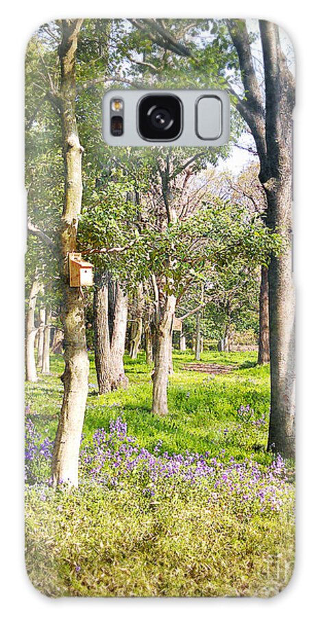 Tree Galaxy Case featuring the photograph Spring Awakening #1 by Eena Bo