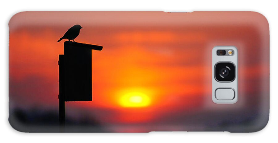 Bird Galaxy S8 Case featuring the photograph The Early Bird #1 by Bill Pevlor