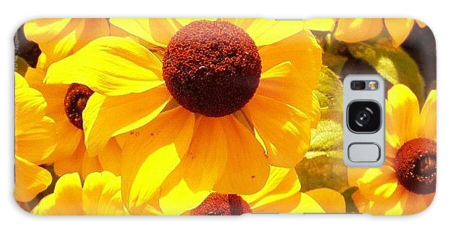 Flower Galaxy Case featuring the photograph Yellow Flowers #1 by Luisa Azzolini