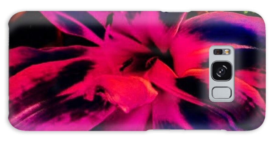 Summer Galaxy Case featuring the photograph Flower #2 by Katie Williams