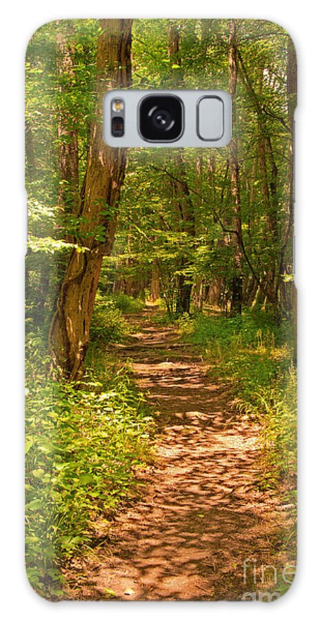 Trail Galaxy S8 Case featuring the photograph Forest Trail #2 by Bob and Nancy Kendrick