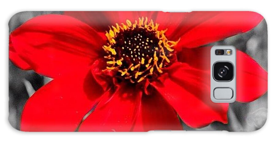 Flower Galaxy Case featuring the photograph Red Flower #2 by Luisa Azzolini