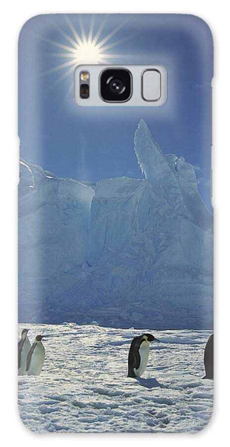 Mp Galaxy Case featuring the photograph Emperor Penguin Aptenodytes Forsteri #6 by Tui De Roy