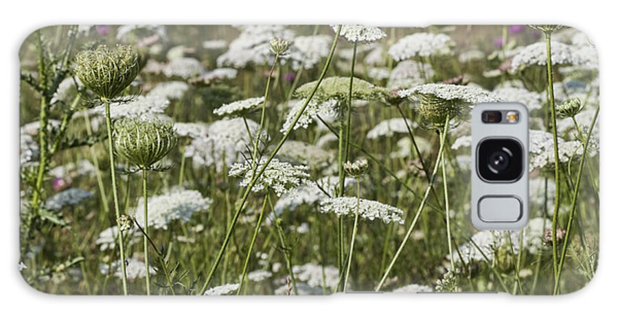 Daucus Carota Galaxy Case featuring the photograph A Field of Queen Annes Lace by Kathy Clark