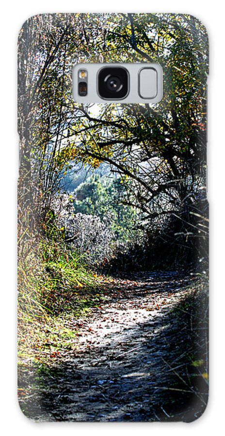 Trails Galaxy Case featuring the photograph A Path To The Ocean by Marie Jamieson