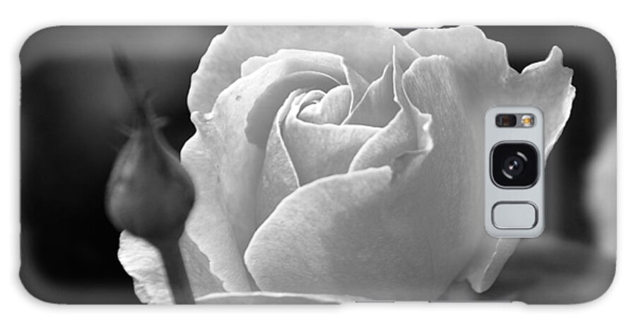 Rose Galaxy Case featuring the photograph A Rose in Black and White by Janice Adomeit