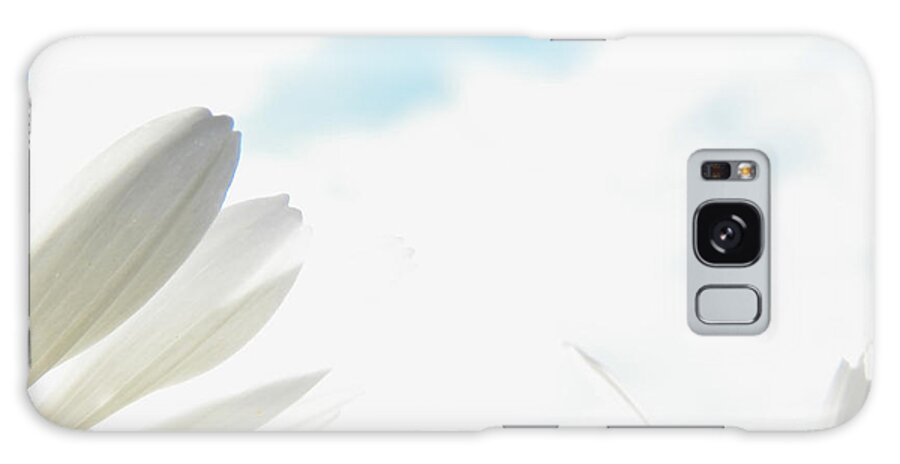 Daisy Galaxy Case featuring the photograph A Touch of Daisy by Corinne Elizabeth Cowherd