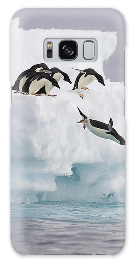 00761831 Galaxy Case featuring the photograph Adelie Penguin Diving Antarctica by Suzi Eszterhas