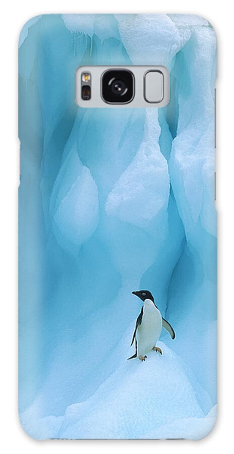 00260284 Galaxy Case featuring the photograph Adelie Penguin on Iceberg by Colin Monteath