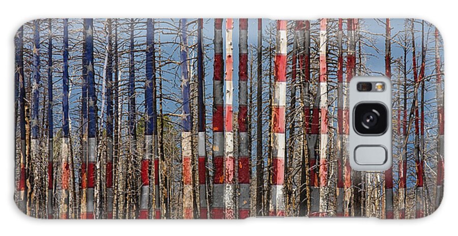 Forest Galaxy Case featuring the photograph America Still Beautiful by James BO Insogna