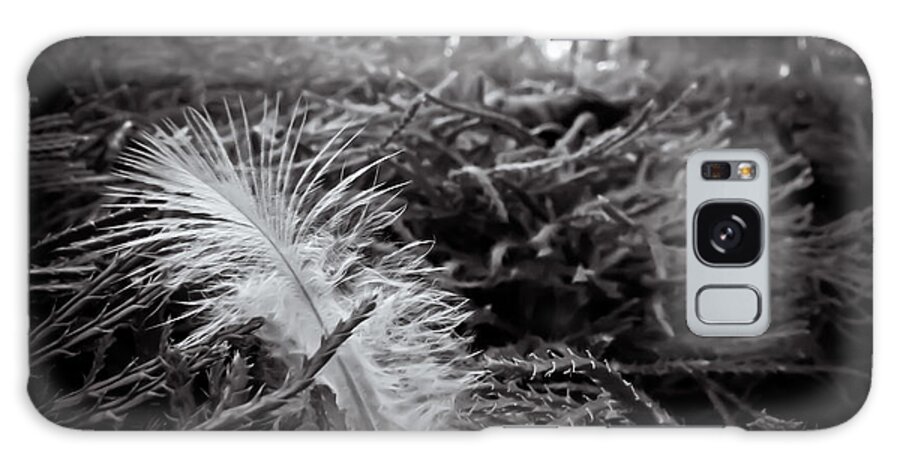 Feather Galaxy Case featuring the photograph Among Thorns by Jessica Brawley