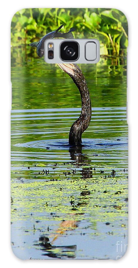 Anhinga Galaxy Case featuring the photograph Anhinga Stabs a Fish by Barbara Bowen