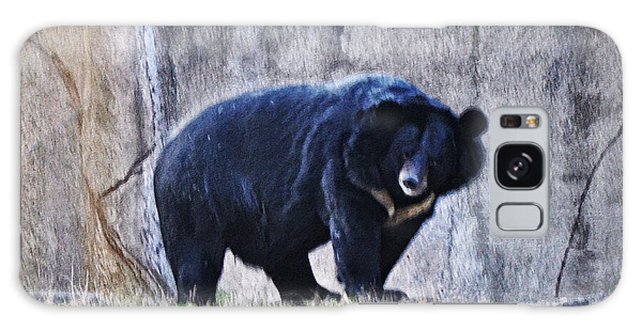 Asiatic Black Bear Galaxy Case featuring the photograph Asiatic Black Bear by Bill Cannon