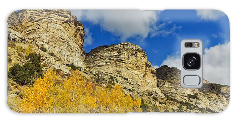 Aspen Galaxy S8 Case featuring the photograph Aspen at Molar Ridge by L J Oakes