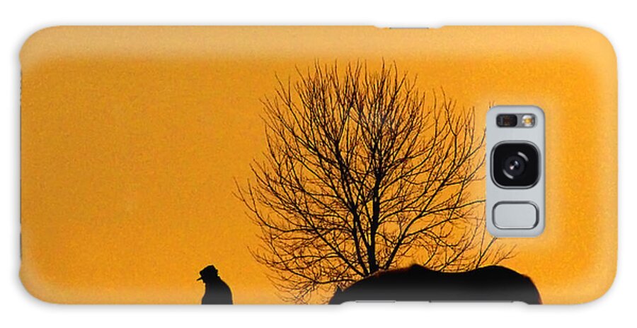 Horse Galaxy Case featuring the photograph At The End Of The Day by Terry Doyle