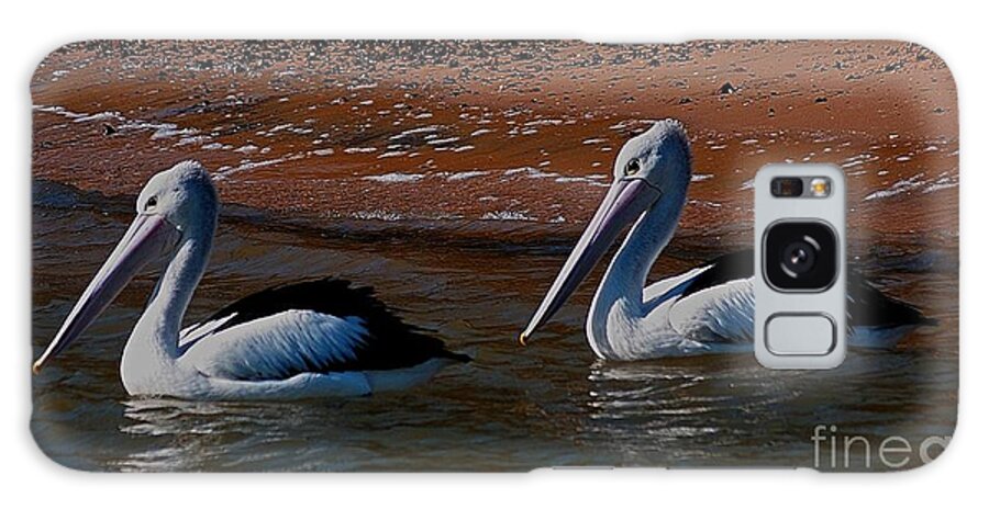 Australia Galaxy S8 Case featuring the photograph Australian Pelicans by Blair Stuart