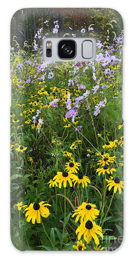 Autumn Galaxy Case featuring the photograph Autumn Wildflowers - D007762 by Daniel Dempster