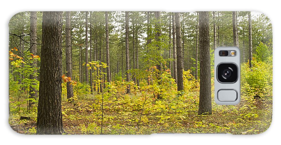 Autumn Galaxy Case featuring the photograph Autumn Woodland 7807 by Michael Peychich