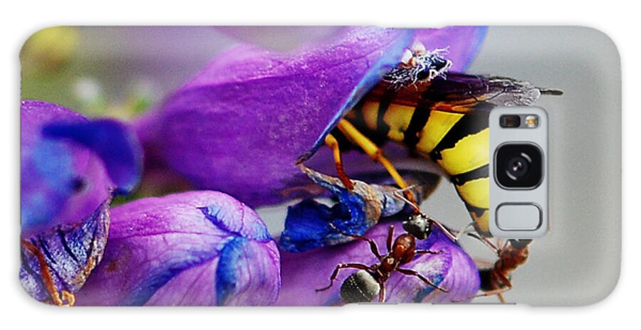 Ouray Galaxy S8 Case featuring the photograph Bee parking lot by Melany Sarafis