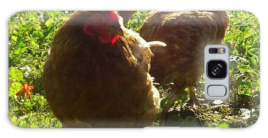 October Galaxy Case featuring the photograph before They Attacked - #chickens by Robin Beer