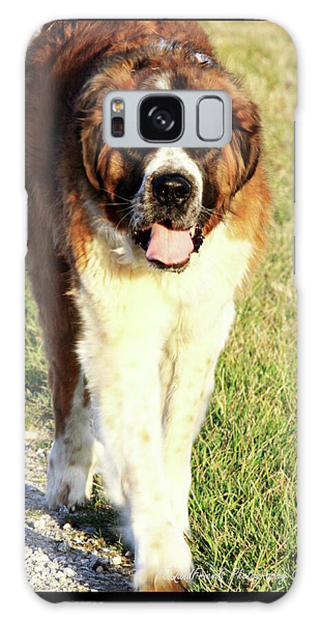  Galaxy Case featuring the photograph 'Betty Lou of Crescent Farm' by PJQandFriends Photography