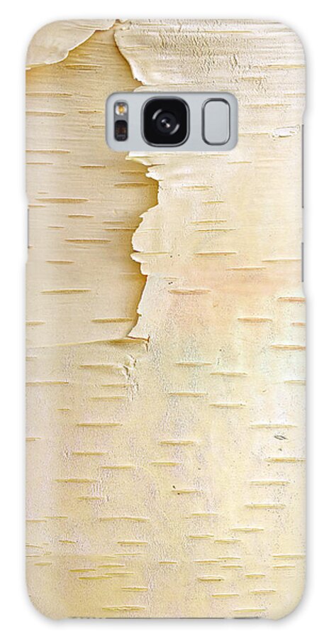 Mp Galaxy Case featuring the photograph Birch Betula Sp Close Up Of Tree Trunk by Tim Fitzharris