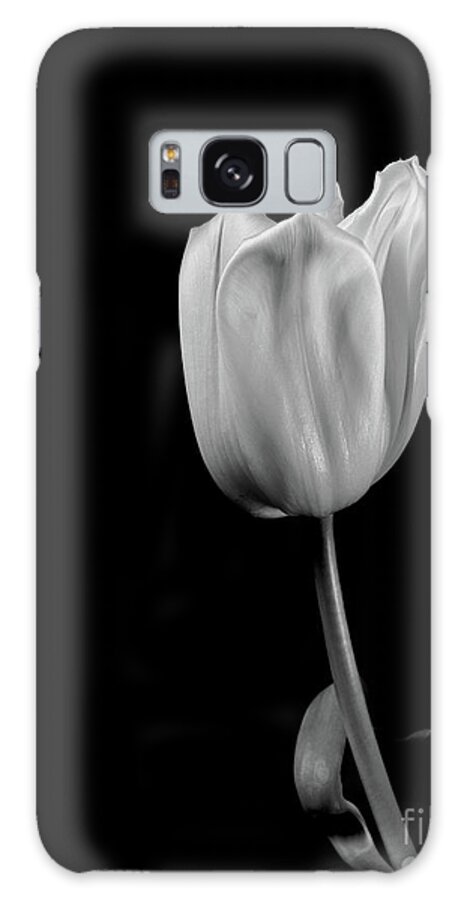 Floral Galaxy Case featuring the photograph Black And White Tulip by Dariusz Gudowicz