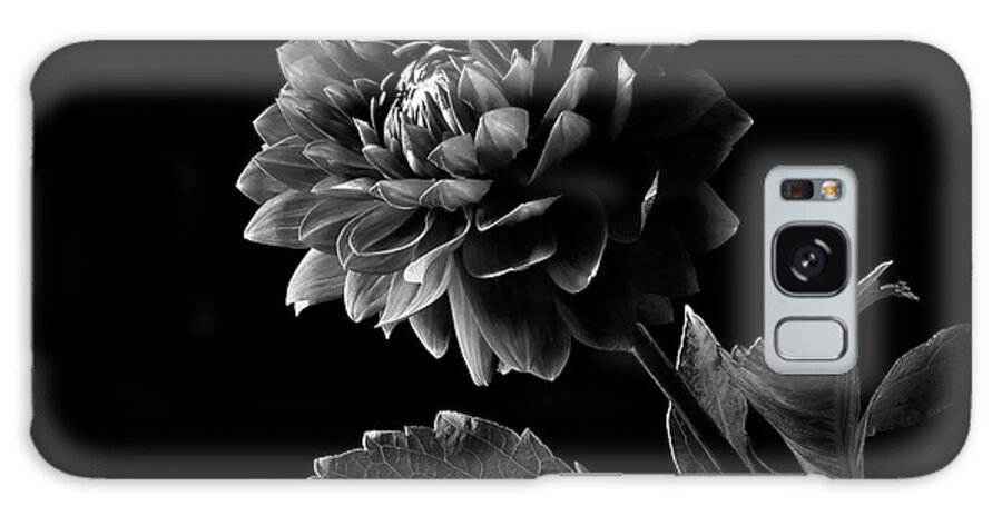 Flower Galaxy Case featuring the photograph Black Dahlia in Black and White by Endre Balogh