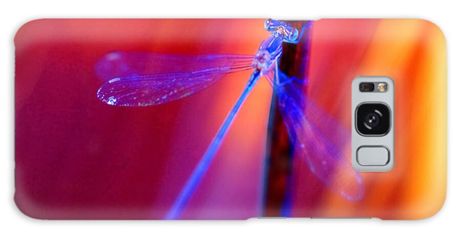 Blue Galaxy Case featuring the photograph Blue Dragon Fly by Shehan Wicks