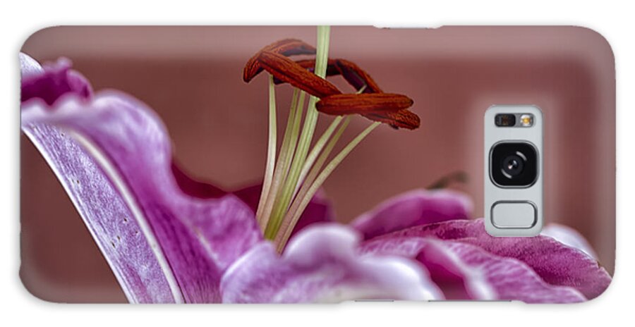Lily Galaxy Case featuring the photograph Blushing Bloom by Linda Tiepelman