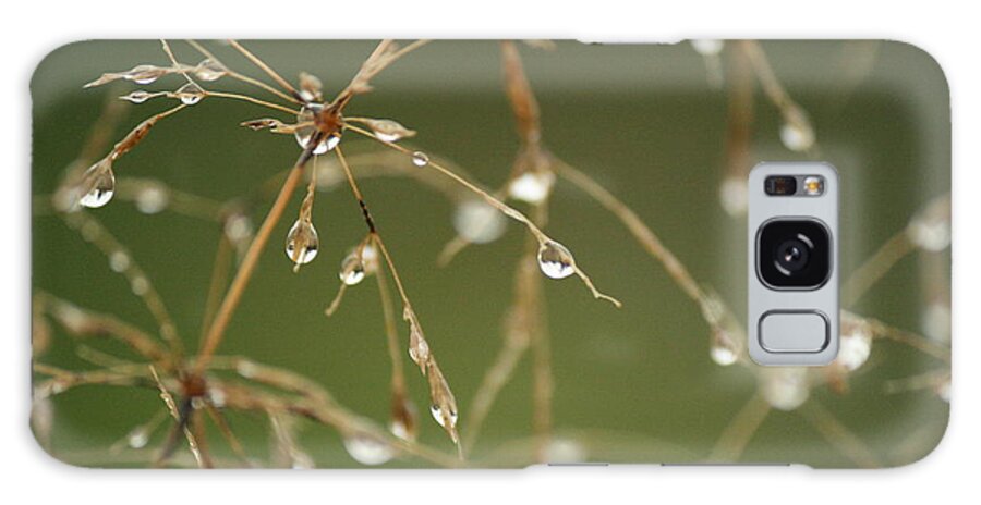 Framed Prints Galaxy Case featuring the photograph Branches of Dew by Neal Eslinger