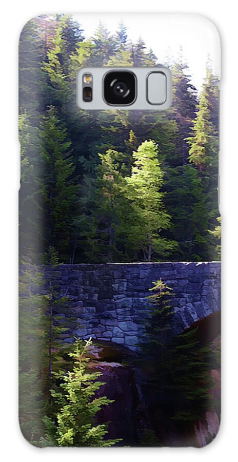 Bridge Galaxy S8 Case featuring the photograph Bridge In The Middle Of Beauty by Cherie Duran