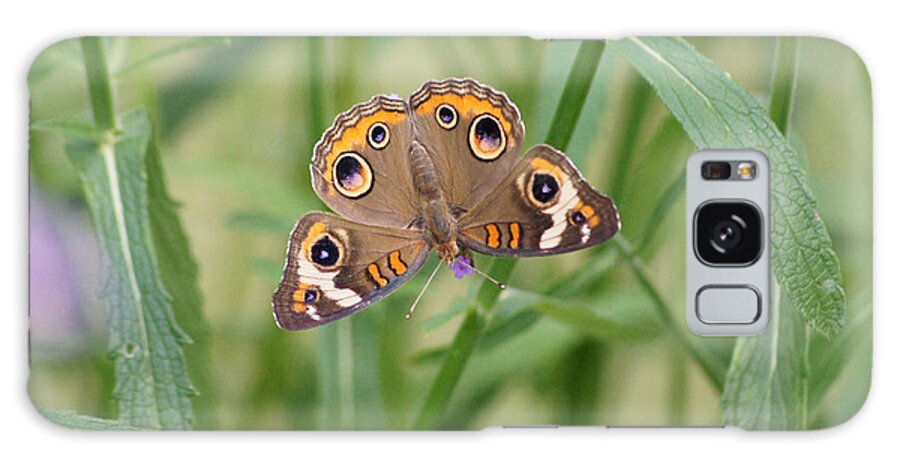 Buckeye Butterfly Galaxy Case featuring the photograph Buckeye Butterfly and Verbena 2 by Robert E Alter Reflections of Infinity