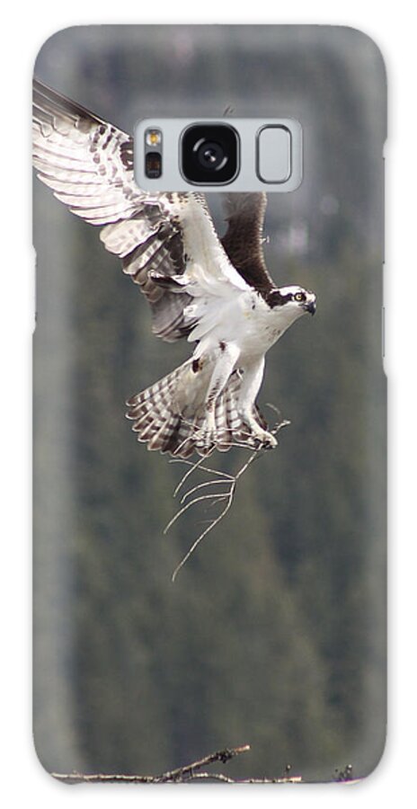 Osprey Galaxy Case featuring the photograph Building Supplies by Cathie Douglas