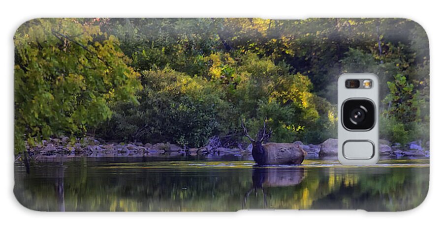Fall Color Galaxy Case featuring the photograph Bull Elk in Reflecting Pool Buffalo National River by Michael Dougherty