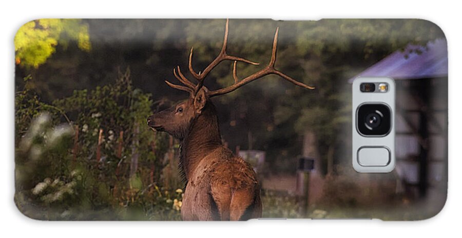Bull Elk Galaxy Case featuring the photograph Bull Elk on Country Road by Michael Dougherty
