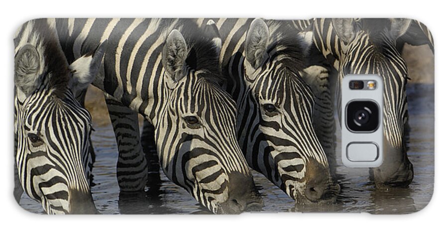 00217974 Galaxy Case featuring the photograph Burchells Zebras Drinking by Pete Oxford