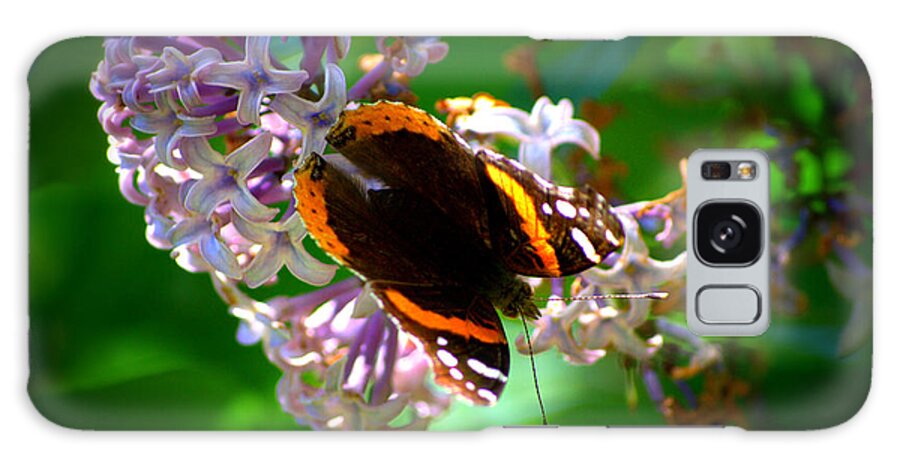 Brown Galaxy Case featuring the photograph Butterfly on Lilac by Kevin Fortier