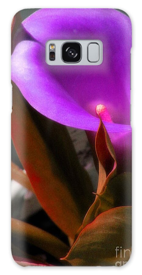 Calla Lily Galaxy S8 Case featuring the photograph Calle Color by Lani Richmond Elvenia