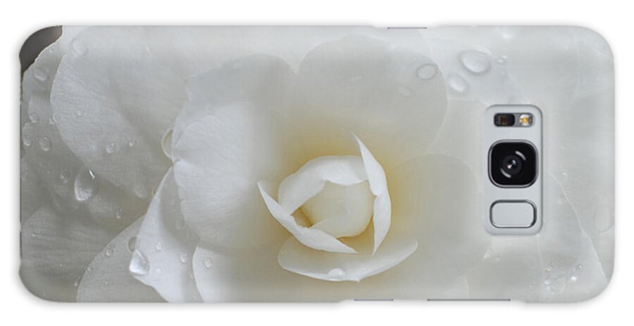 White Camellia Galaxy Case featuring the photograph Camellia After Rain Storm by Shane Kelly
