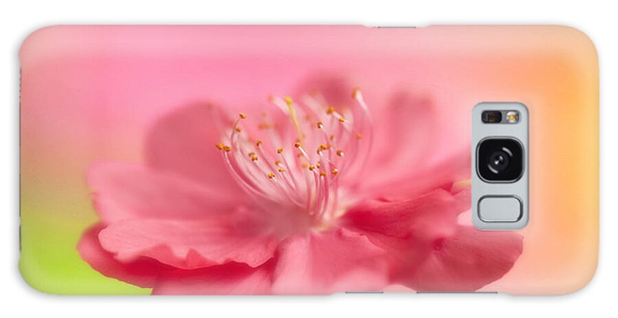 Blossom Galaxy Case featuring the photograph Cherry Blossom Macro by Susan Gary