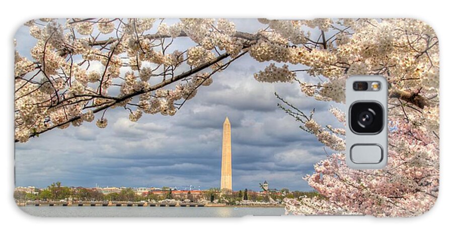 Metro Galaxy S8 Case featuring the photograph Cherry Blossoms Washington DC 4 by Metro DC Photography