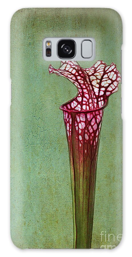 Cobra Galaxy S8 Case featuring the photograph Cobra Lily by Judi Bagwell
