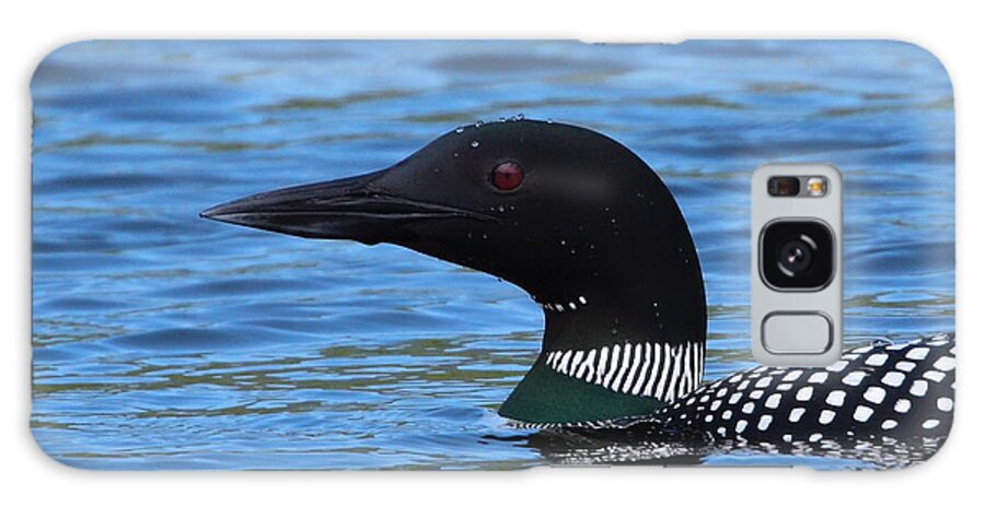 Loon Galaxy S8 Case featuring the photograph Common Loon by Bruce J Robinson