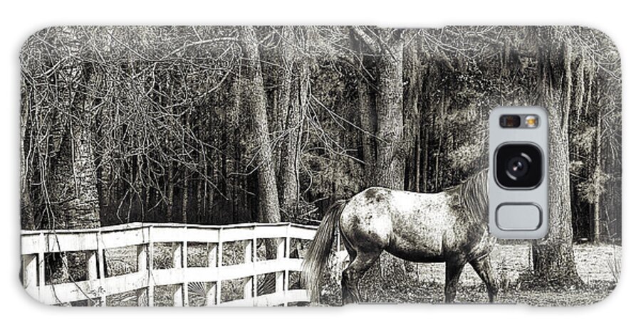Horse Galaxy Case featuring the photograph Coosaw - Outside the Fence Black and Wite by Scott Hansen