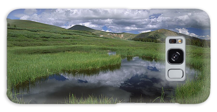 00175111 Galaxy Case featuring the photograph Cumulus Clouds Reflected In Pond by Tim Fitzharris