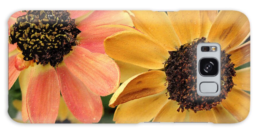 Flowers Galaxy Case featuring the photograph Daisies by Ellen Cotton