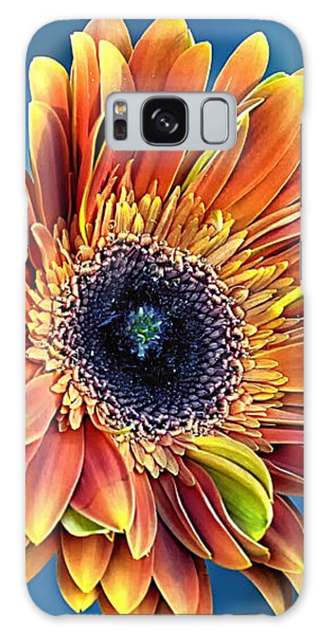 Gerber Daisy Galaxy Case featuring the photograph Daisy Dialation by Bill and Linda Tiepelman