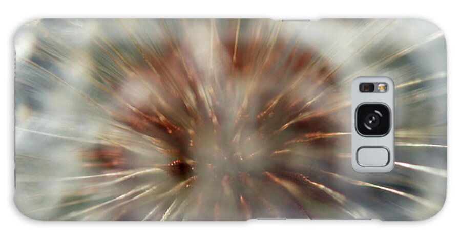 Macro Galaxy Case featuring the photograph Dandelion Fluff by Kay Lovingood