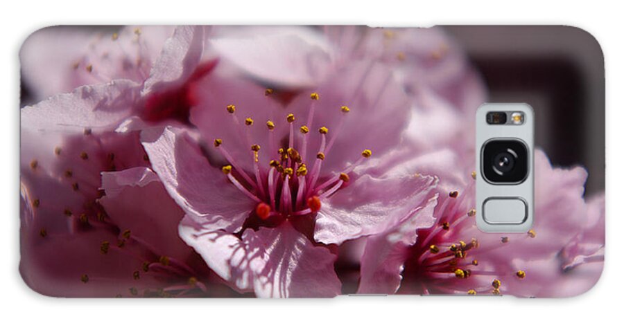 Photograph Galaxy S8 Case featuring the photograph Day Dreaming in Pink by Vicki Pelham